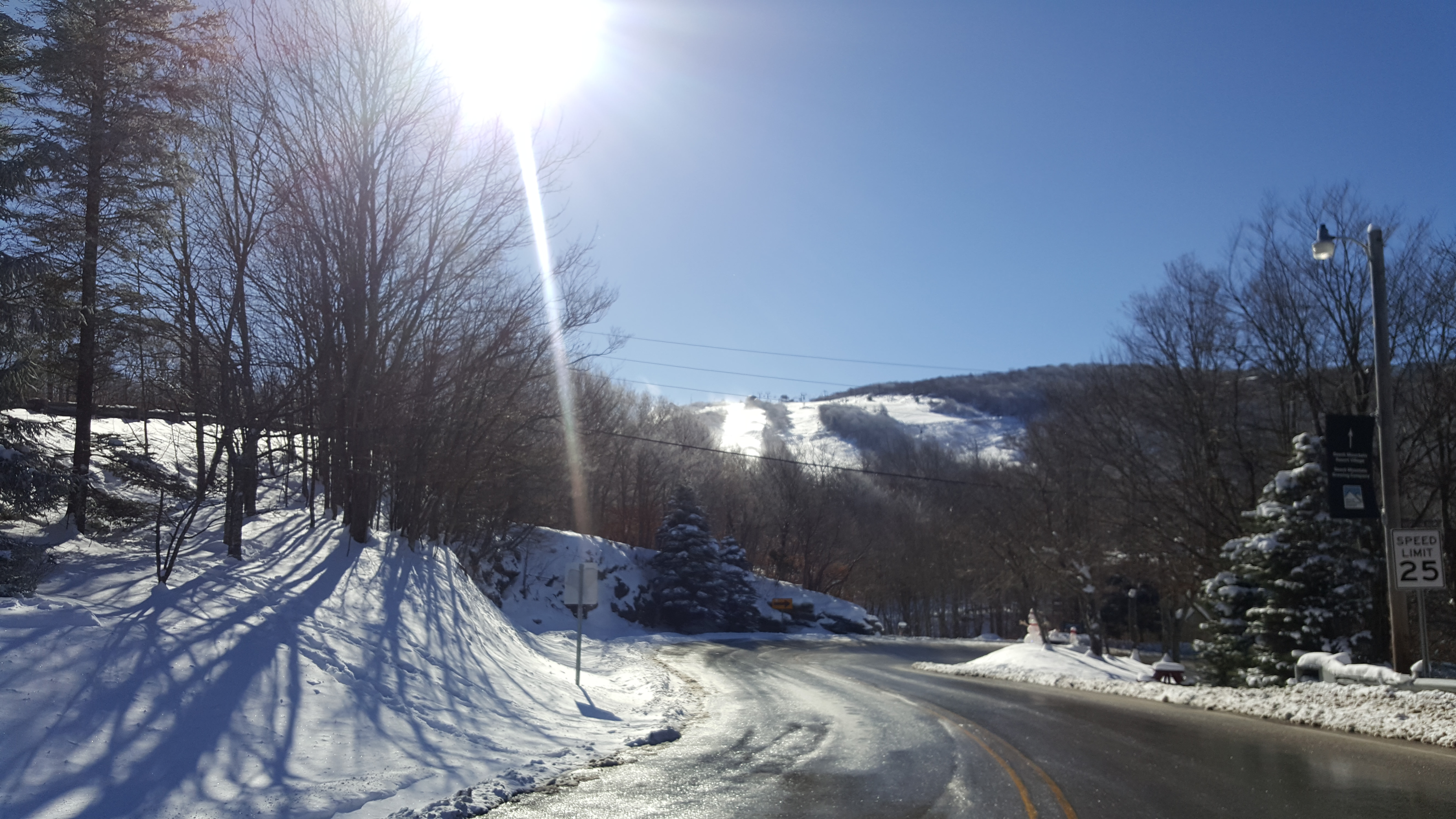 Random Thoughts on a February Morning