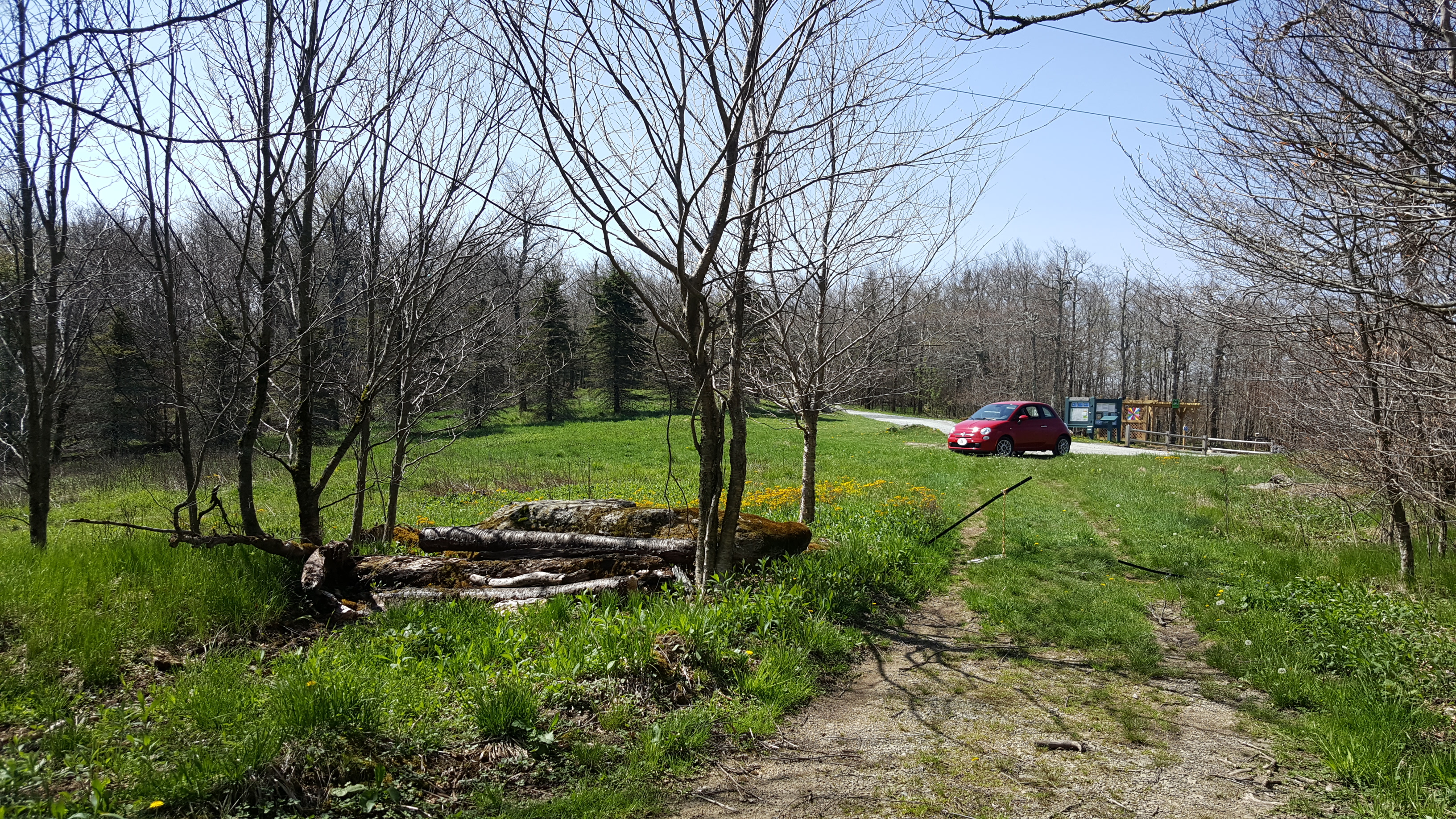 Beech Mountain and a May Rain