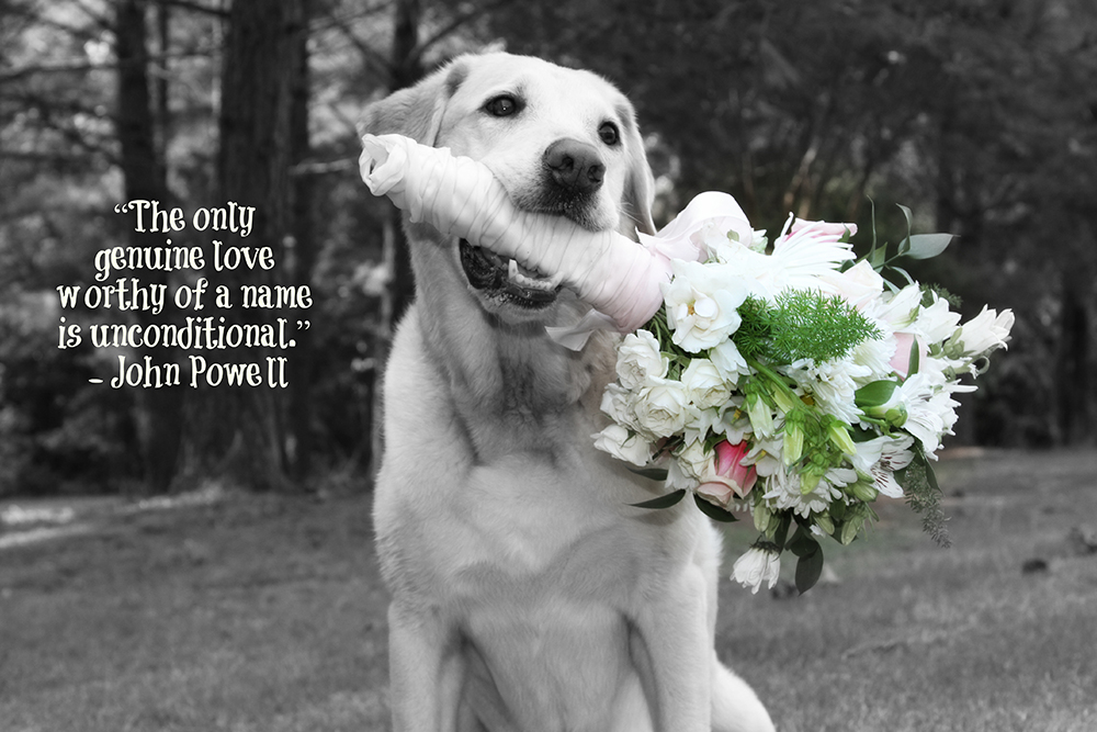 Introducing Photographer, Pat Thomas of PhotoPhetish