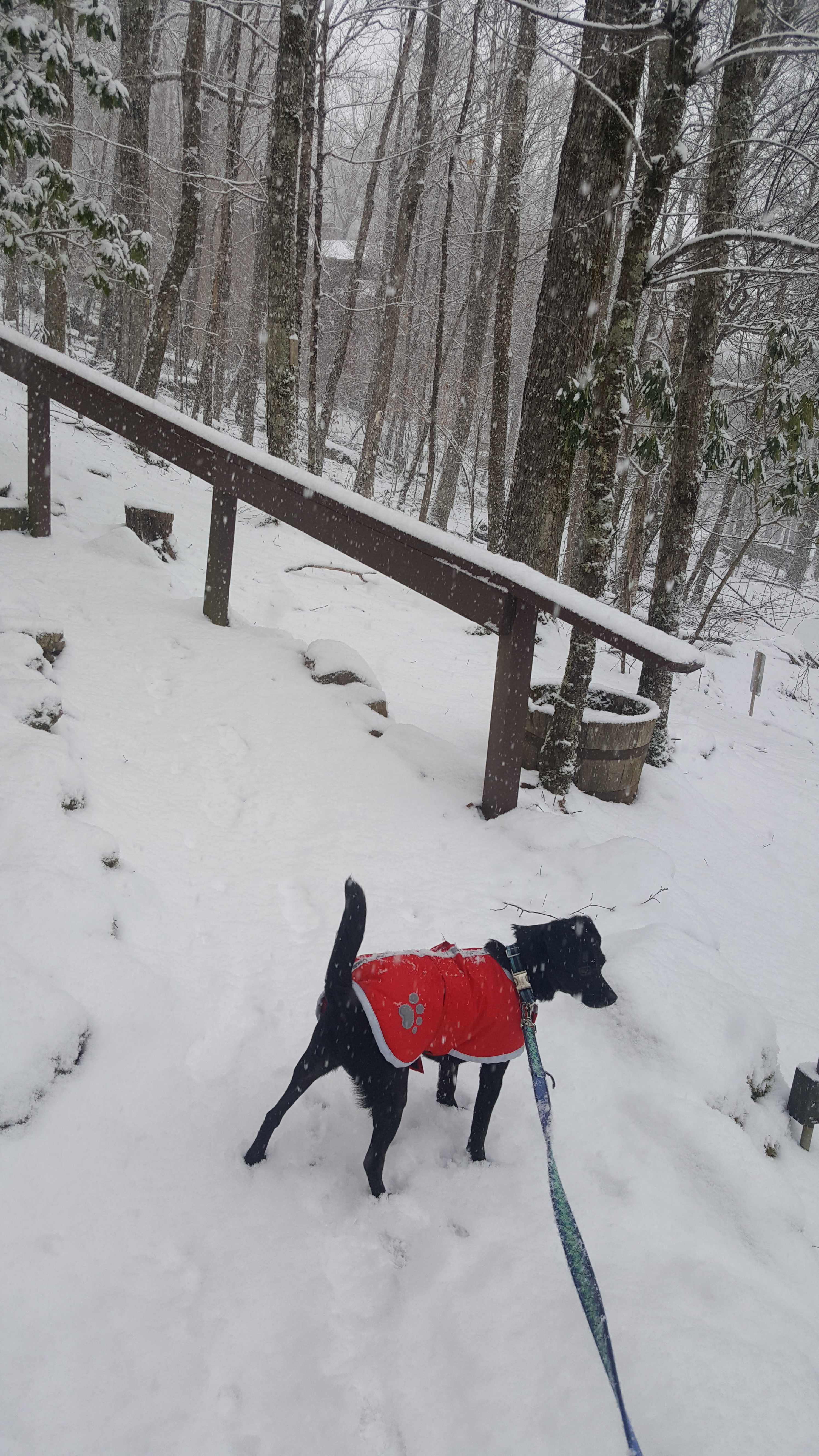 A Letter to Steven about Vocation