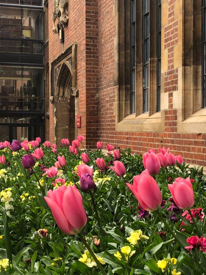 Spring and coming alive from winter.